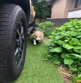 イメージ画像