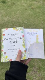 イメージ画像