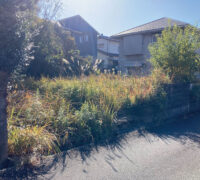 菊池郡大津町大字大林