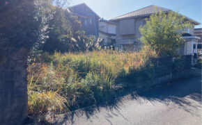 菊池郡大津町大字大林