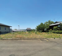 菊陽町　馬場楠
