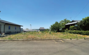 菊陽町　馬場楠
