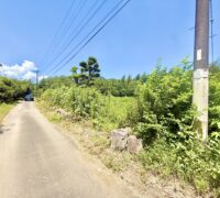 南区城南町東阿高　土地