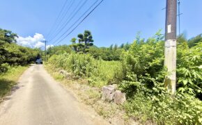 南区城南町東阿高　土地